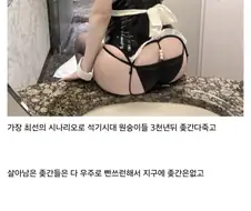 석기시대 늦게 돌입한 원숭이들 진짜불쌍하네