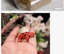 의외로 수명이 긴 애완동물.jpg