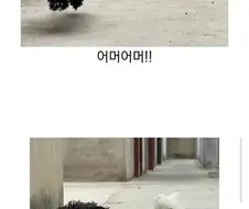 만화 캐릭터 같은 강아지