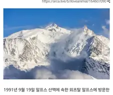 얼음속에서 발견된 5천년전 미라.webp