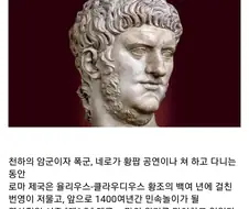 고대 로마판 임오군란