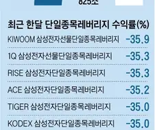 6월 한달 삼전 하이닉스 단일종목 레버리지 수익률