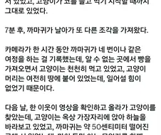 인간의 선의로 포장된 사악한 행위