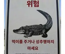 악어 위험 표지판