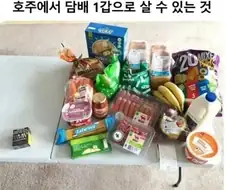 호주에서 담배 1갑으로 살 수 있는 것