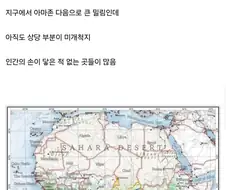 콩고 분지.jpg