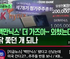 주식) "뭐? 국내상장 쪼개기가 막혔다고?"