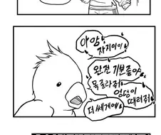 앵무새를 키우면 생기는 일 manhwa