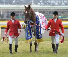 [말딸] 신캐 코파노 리키 주요 정보