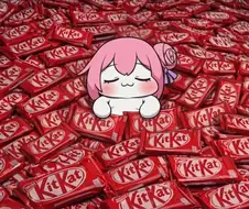 도로롱, 웬 킷캣이 이렇게 많니?