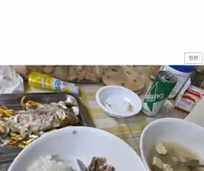 웃대에서 주워온 조토피아