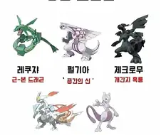 뉴비들이 생각하는 강력한 초전설 포켓몬