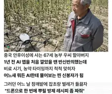 AI 믿고 농사 맡겼다가 벌어진 일.jpg