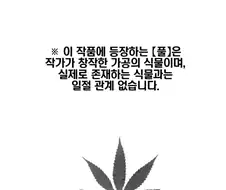 (동방)몽롱해지는 만화
