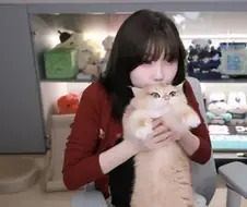 영혼 빨리는 고양이