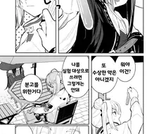 헤번레) 은시계 백합