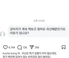 개조련사 강형욱 애견 조언중 가장 공포스러웠던거