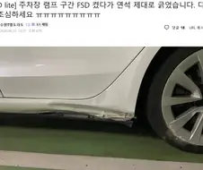 주차장 사고 많이 나는 테슬라.jpg