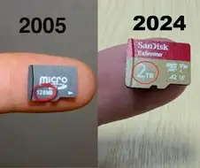 2005년 vs 2024년