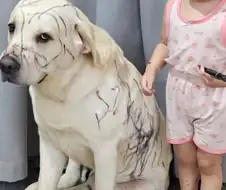 "우습지 않나, 인간?"