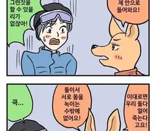캥거루비와 나