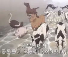 [스파이패밀리]소를 기절시키다