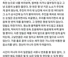 도축장에서 일한 후기.jpg