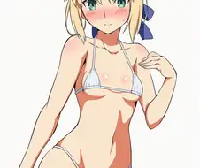 Fate)AI)후방) 마이크로비키니 세이버