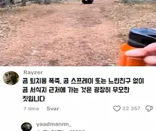 곰 서식지를 지나가야 할 때 필요한 것들