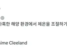 알바트로스 새끼들의 모습.jpg
