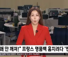 프랑스폭동) 이거 방탄유리야!!