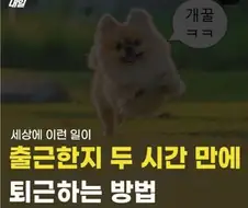 출근한지 두 시간 만에 퇴근하는 방법