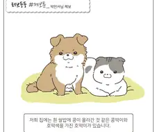 강아지vs고양이.manhwa