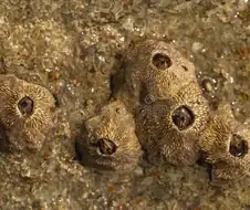 해저/해상도시나 지하도시들의 발목을 붙잡고 있는 것들