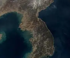 주식) 주식 분할의 민족