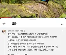 선택받은 극락조와 그렇지 않은 극락조의 차이