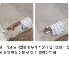 과도한 친절함이 부른 참사
