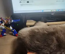지구정복을 노리는 악당과의 처절한 전투씬~~