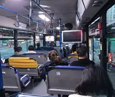 여름철 버스 안에서 제일 이해 안되는 인간들