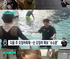 울릉도 관광업 비상.jpg