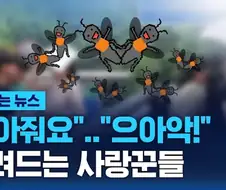 슬슬 다가오는 안아줘요의 계절