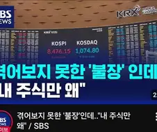 주식) 개미: 삼성 하이닉스 빼면 코스피 ㅂㅅ이라고?