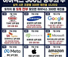 주식) 하이닉스 300만원 돌파 킹우의 갓 등장 ㄷㄷㄷ