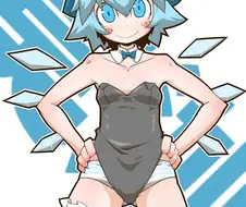 바니걸은 팬티 안입는걸 모르는 치르노