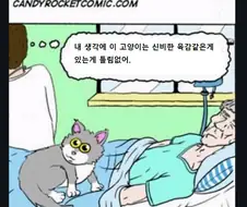 죽을 때 까지 환자의 곁을 지켜주는 고양이.manga