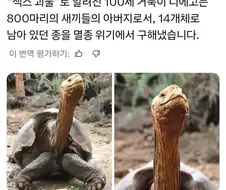 ㅅㅅ괴물 100살 할배