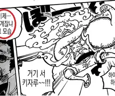 원피스 키자루가 뻗은 이유