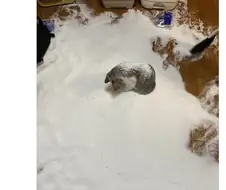 미야아아오옹....ㅠ