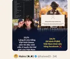 베트남인 : 배그 너희들은 1억인구의 시장을 잃었다
