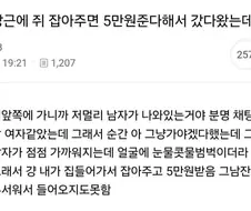 당근에 쥐 잡아주면 5만원 준다해서 갔다왔는데